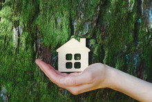 Young Female Hand Holding Small Wooden House Against Old Tree Bark, Safe, Sweet And Ecological Home Concept, Eco Friendly Accommodation, Copy Space
