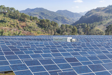 Wall Mural - polycrystalline silicon solar cells or photovoltaics cell in solar plant station convert light energ