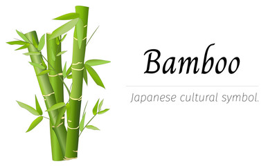  Japanese banner for text with bamboo. Vector illustration on a white background.