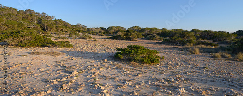 Cuadros en Lienzo Landscape of the west coast of Ibiza (Cala d'Hort) - Landschaft an der Westküste