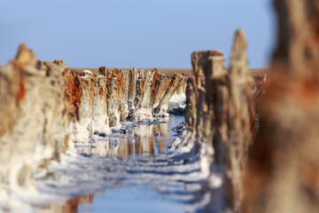 Wall Mural - The salt flats