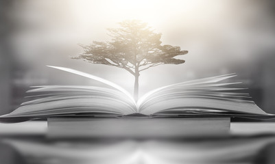 Poster - Imagine a picture book of an ancient book opened on a wooden table with a sparkling golden background. With magical power, magic, lightning around a glowing glowing book In the room of darkness