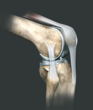 Knee Joint, Medical 3D Illustration