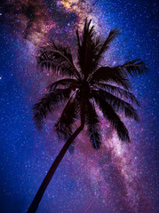 Wall Mural - landscape with milky way galaxy. night sky with stars and silhouette coconut palm tree on the mounta
