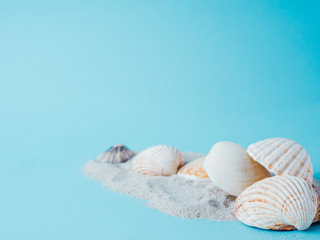 sand and sea shells isolated on blue, summer concept