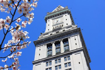 Wall Mural - Boston - Custom House Tower - spring time cherry blossoms