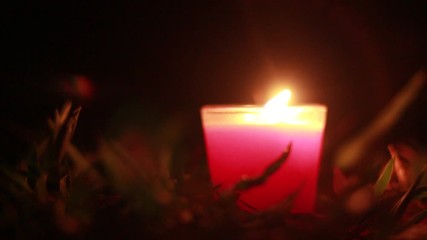 Wall Mural - Candles Burning at Night. In the jungle  