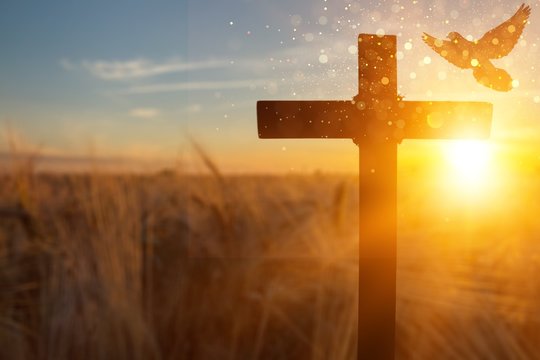 Silhouette of wooden christian cross at the field