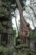 © Judit Carceller/ADDICTIVE STOCK - Scenic landscape of destroyed religious Hindu temple and trees of Angkor Wat in Cambodia
