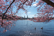 Hamburg in spring. With a panorama over the city