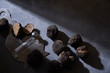 © Peter Karasev/ADDICTIVE STOCK - From above bunch of expensive black truffles placed near metal shaver on gray plaster surface