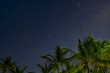 © PHILIPPE DEGROOTE/ADDICTIVE STOCK - From below wonderful scenery of night sky with stars and palm tops in Punta Cana in Dominican Republic