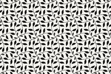 Floral Seamless Pattern. Vector Background With Abstract Tree Branch Texture. Leaves Monochrome Wallpaper, Black White Simple Foliage Ornament For Wrapping Paper, Textile. Decorative Design Element