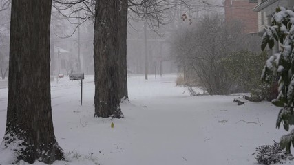 Wall Mural - Sidewalk in town in falling snow