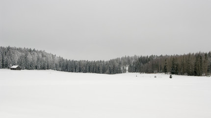 Sticker - winter landscape with trees and snow