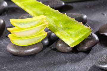 Wall Mural - Aloe vera plant, slices - Text space