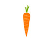 Cartoon drawing of a carrot, simple vector illustration