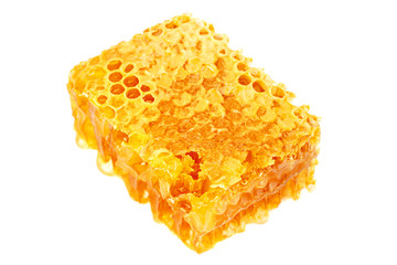 Wall Mural - Yellow Honeycomb slice closeup