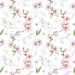  Spring sakura, cherry, almond blossom watercolor and pen ink botanical seamless pattern. Pink-stained with monochrome details floral background for wallpaper, gift wrapping paper, textile design. 