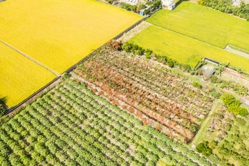 Canvas Print - aerial view of farm