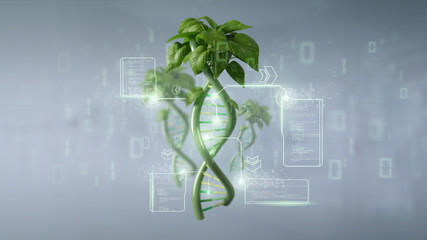 DNA growing as a plant - 3d rendering