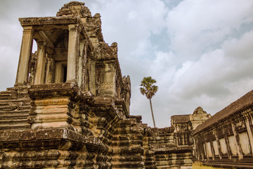 Angkor Wat temple Siem Reap Cambodia in Nature