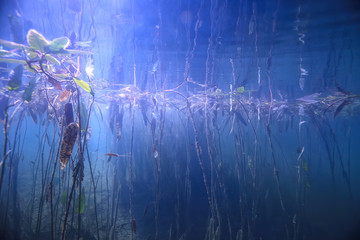 lake underwater landscape abstract / blue transparent water, eco nature protection underwater