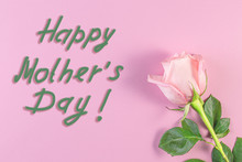 Pink Roses On Pastel Pink Background. Mother's Day.