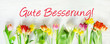 Gute Besserung!, Genesungswünsche mit Frühlingsblumen, Headline, Banner