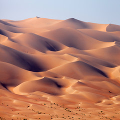 Wall Mural - Desert landscape in the UAE, sand dunes