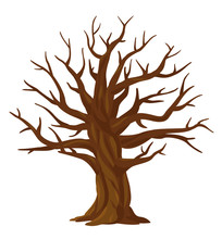 One Wide Massive Old Oak Tree Without Leaves Isolated Illustration, Majestic Oak Without Foliage With A Rough Trunk And Big Crown, Mystical Brown Tree