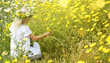 © Guschenkova - Children blond girl with daisy flowers. Summer vacation time. Country side.