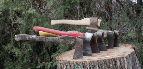 Wall Mural - axes stuck in a stump