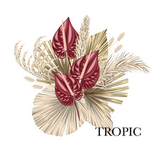 Boho Bouquet Dried Palm Leaves Anthurium Flower Illustration. Tropical Jungle Floral Vector Composition.