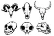 Vector hand drawn illustration animal skull. Monkey, Tiger, Goat, Cow, Cat, Dog. Good for posters, postcards, print for t-shirt, tattoo.