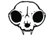 Vector hand drawn illustration animal skull. Cat. Good for posters, postcards, print for t-shirt, tattoo.