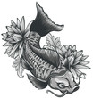 illustration of koi fish. drawing vector. vector illustration Japanese motif.