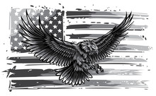 Monochromatic Vector Illustation American Eagle Against USA Flag And White Background.