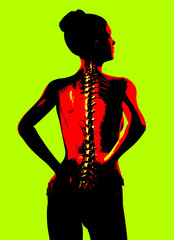 Wall Mural - Backache pain, spine in back view, 3D medically illustration