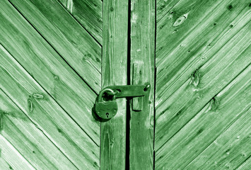 Wall Mural - Wooden door with lock in green tone.