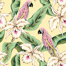Parrots, Green Banana Palm Leaves, Orchid Flowers, Yellow Background. Vector Floral Seamless Pattern. Tropical Illustration. Exotic Plants, Birds. Summer Beach Design. Paradise Nature