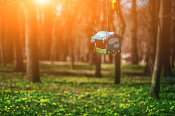 Wall Mural - Closeup photo of bird feeder in park or forest in sun light captured by early spring.