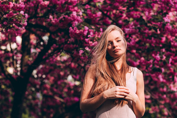 Wall Mural - Closeup portrait of a lovely girl in a park with blooming Japanese sakura trees. Romantic young blonde in a dress posing on a background of spring flowering trees. Cherry blossoms.