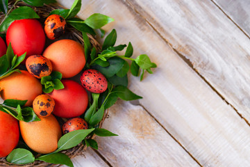 Easter composition: nest with colorful eggs decorated with fresh green branches and flowers. Spring time, family holiday. Wooden table as background, copy space for text, close up. Top view, banner