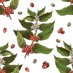 seamless pattern with colorful hand drawn coffee tree branches and beans