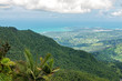 canvas print picture - Luquillo mountains aerial overlooking atlantic coast