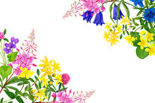 Watercolor Field Flowers, Bright Colors, Corner Frame