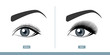 Female Eye Before and After Eyelash Extension. Comparison of Natural vs. Volume Eyelashes. Infographic Vector Illustration