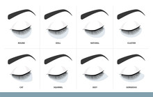 Eyelash Extension Style Chart.  Different Eyelash Extension Types And Shapes For Most Attractive Look. Guide. Infographic Vector Illustration