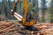Logging Equipment Forest Machine